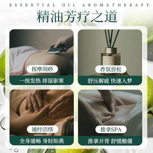 批发30ml小瓶橄榄精油按摩刮痧开背足浴美容SPA通经络美容院专用 商品图3
