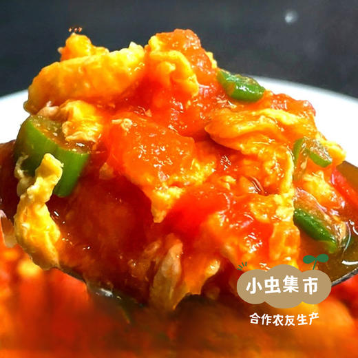 新疆有机番茄丁 300g*6罐 | 合作农友生产，产自新疆焉耆，生产者：王忠军 *【公平贸易农人定价】 商品图4