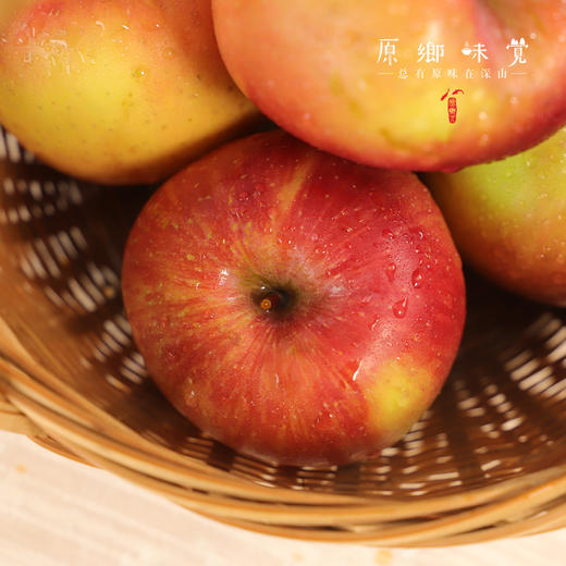 小金吴大姐生态红苹果（基地直发-邮政平邮） | 多种规格，来自四川小金，生产者：吴明清【合作生产·公平贸易】 商品图7