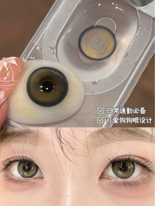 Bollycon半年抛仙人掌班戟 14.5mm 商品图0