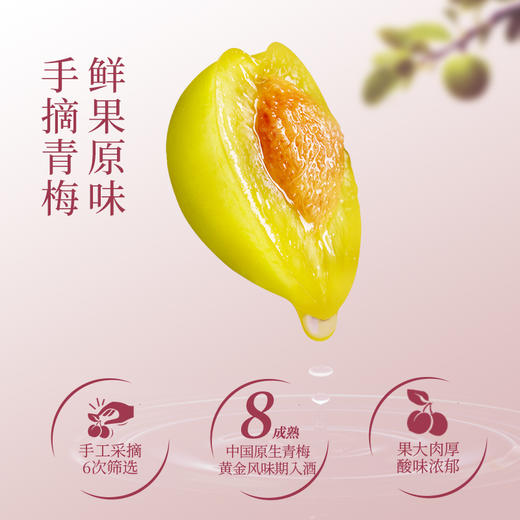 【新品】梅见杨梅青梅酒330ml*2瓶 商品图3