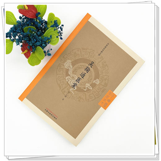 吴鞠通医案(清) 吴瑭 著 （中医临证经典文库）中国中医药出版社 明清中医临证小丛书 商品图1