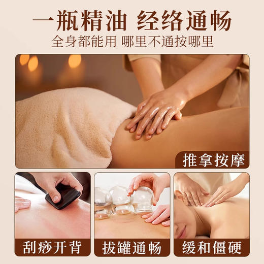 橄榄按摩精油推拿油足疗美容专用油生姜刮痧开背润肤肩颈厂家批发 商品图2