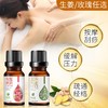 艾草生姜精油开背按摩精油全身通经络免洗推背美容院spa专用批发 商品缩略图3