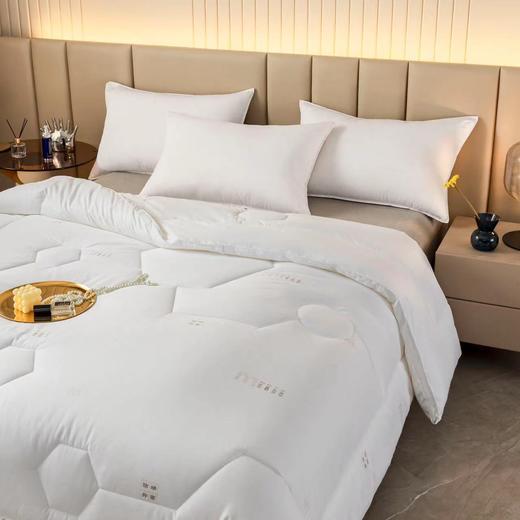 【直送到家】恐龙 康帕斯银离子抗菌防螨被第二代 商品图1