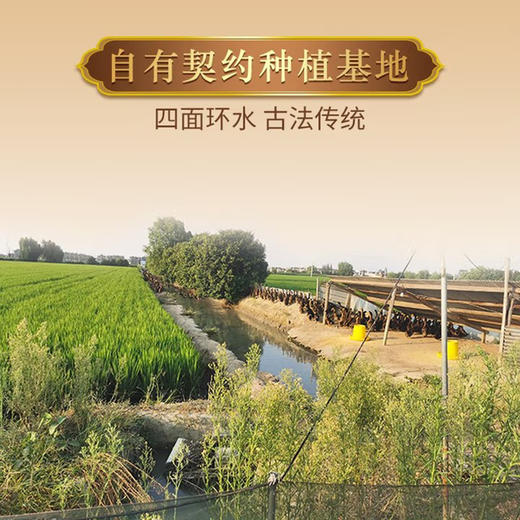 崇明岛长江农场大米5kg 商品图2