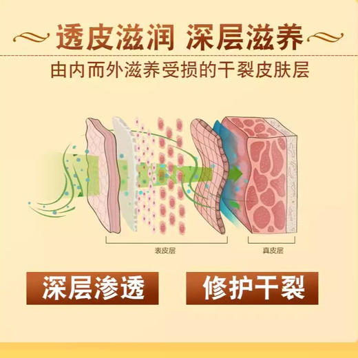 精品国货金泰康马面油马油膏马油护手霜经典老式润肤膏防干裂手霜 商品图3