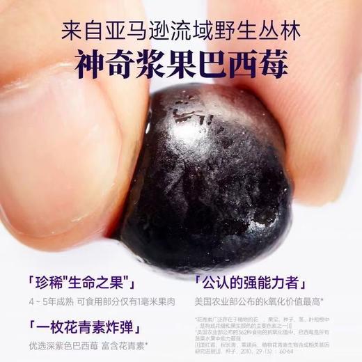 尾巴生活  特拉丝儿肉肉乳酪 巴西莓小紫泥 猫咪全价主食餐盒  35g* 6杯/盒 商品图4