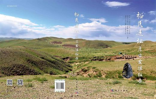 裕民遗址考古发掘报告 商品图3