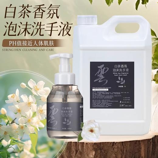云畔白茶香氛泡沫洗手液酒店专用清洁家庭补充装商用大桶整箱批发 商品图2