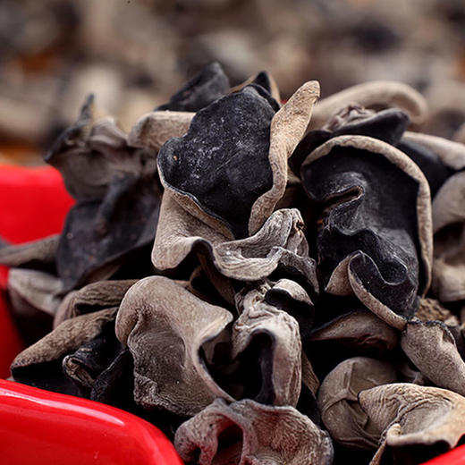 粮佰年 山野珍品有机菌菇礼盒装 商品图5