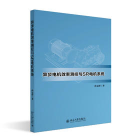 异步电机效率测控与SR电机系统 孙冠群 著 北京大学出版社