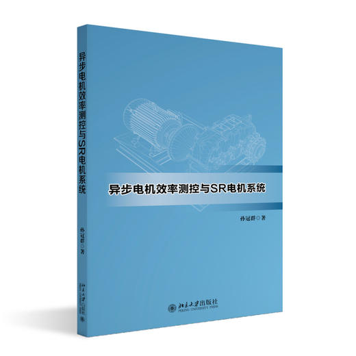 异步电机效率测控与SR电机系统 孙冠群 著 北京大学出版社 商品图0