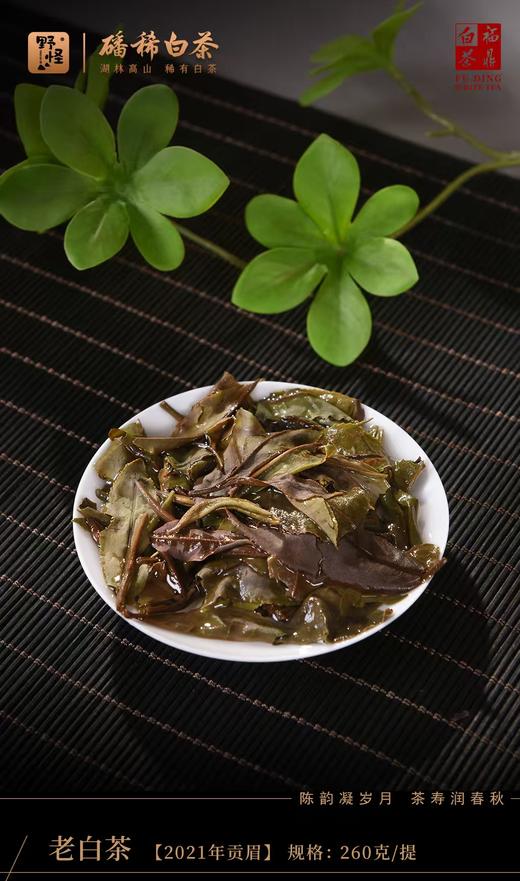 正品授权，天猫589元  野怪！！湛卢茶业匠心出品，磻溪核心产区 2021年贡眉老白茶｜260g 竹箱珍藏散茶！！ 商品图2
