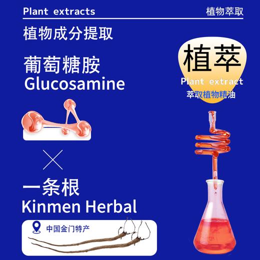 DR.JOU研JOU室金门一条根台湾原装进口葡萄糖胺滚珠 商品图2