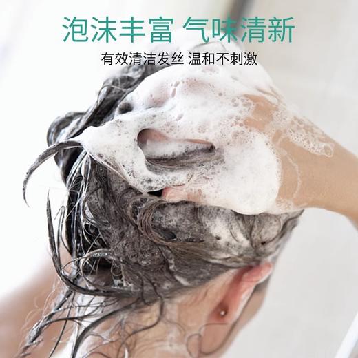 隆力奇大桶洗发水沐浴露护发素二合一酒店宾馆理发店发廊补桶装 商品图3
