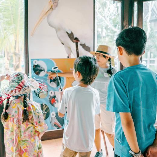 从野性到灵性，在自然教育中看见成长的副本【巴厘岛-科莫多】 7天6晚 商品图9