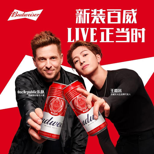 Budweiser百威啤酒经典醇正红罐拉格500ml 商品图1