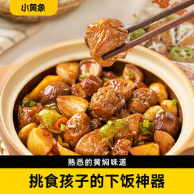 小黄象黄焖鸡风味酱60g/袋