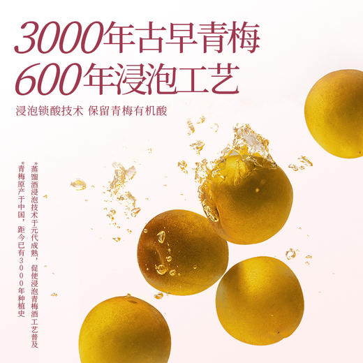 【新品】梅见杨梅青梅酒330ml*2瓶 商品图2