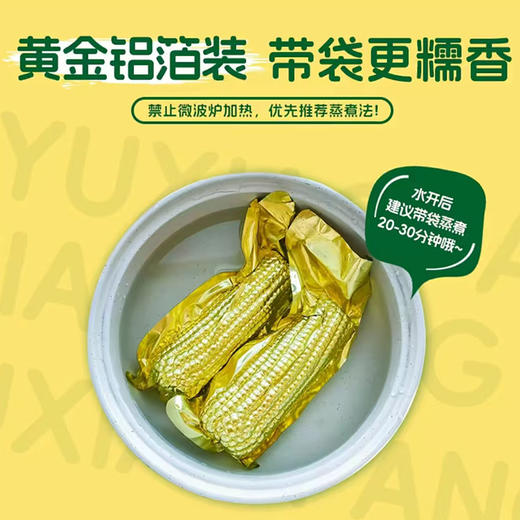 【醒粉福利24.9元5斤共8大根】【吉林黄甜糯玉米】粒大饱满原香浓郁 糯叽叽巨好吃 商品图2