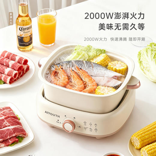 AIYOUTH艾青春 5L多功能分体电火锅AI-HG666 商品图4