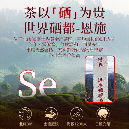 恩施利川红功夫红茶特级浓香型高山硒茶200g双罐 CM 商品图3