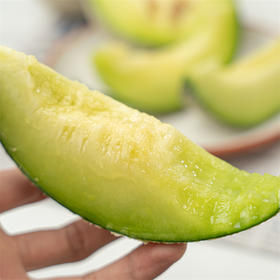 严选 | 海南乐东网纹瓜