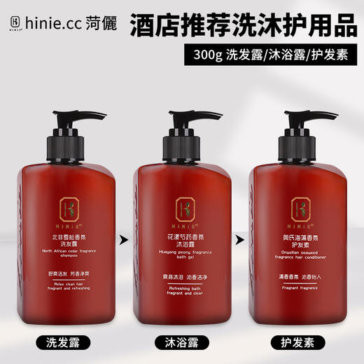 酒店小瓶洗发水沐浴露液洗漱用品高档宾馆民宿专用300ml瓶装批发 商品图2