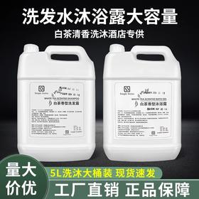白茶香氛大桶装酒店民宿洗发水沐浴露理发店散装洗发补充液批发
