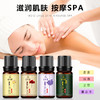 小瓶精油美容院按摩店专用精油护理按摩开背刮痧spa专用按摩油 商品缩略图1
