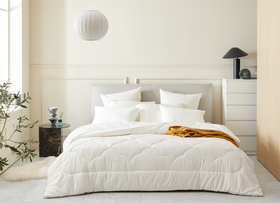 恐龙 双层蛋白云朵春秋被 填充：上层：50%大豆纤维+50%聚酯纤维 下层：50%蚕蛹蛋白纤维+50%聚酯纤维  克重：0.8kg