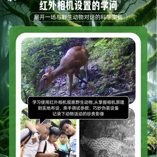 云南｜哀牢山无量山科考4天3晚/2天1晚可选，全球顶级自然资源，生物多样性的绿色宝库，走进自然一起探索大自然的奥秘！探索虫谷秘境！ 商品图6