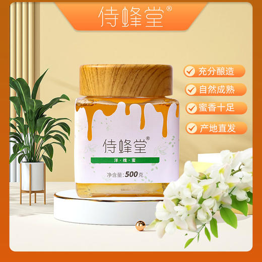 黄龙洋槐蜜 商品图4