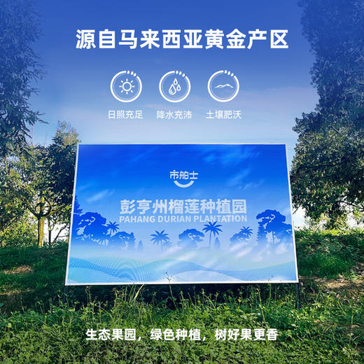 [屁侠推荐]市舶士 马来西亚自然树熟3D锁鲜榴莲 猫山王/黑刺等榴莲果肉拼盘冷冻500g  商品图2