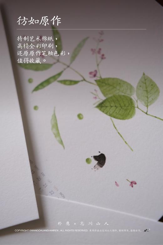 朴愿2026马年台历 商品图4