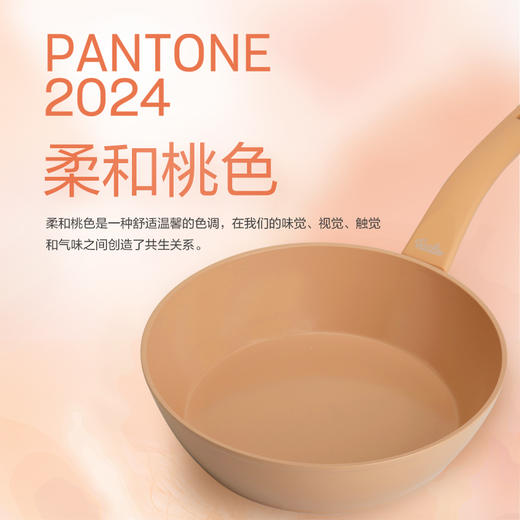 10楼菲仕乐   24cm慈安0氟陶瓷不粘煎炒锅+盖   吊牌价599元  活动价249元 商品图2
