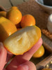 脆蜜金柑丨今年气候原因，果皮略厚，纯甜无酸，果皮硬脆带桔香，果肉细腻化渣，带皮吃无辛辣味⭐️顺丰/京东 商品缩略图5