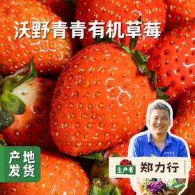 沃野青青有机草莓 2.3±0.1斤 | 合作农友生产，来自陕西咸阳，生产者：郑力行 *【公平贸易农人定价】
