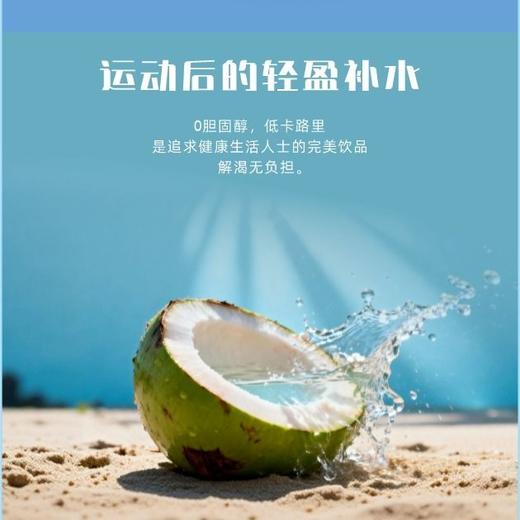 新悦悠100%椰子水 350ml 商品图2