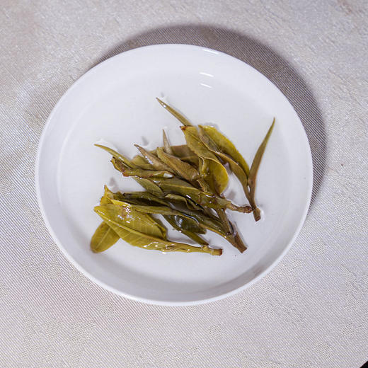 【5折】2025《倚邦》古树春茶 生茶散茶 180克/罐 商品图3