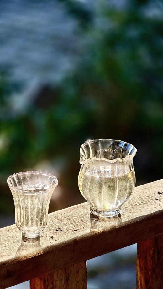 【荒野白茶王】2023年荒野云南白茶一口便知荒野茶的气韵，鲜爽甘甜，100克/罐 商品图2