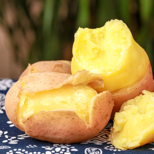 静乐有机红皮土豆 商品图8