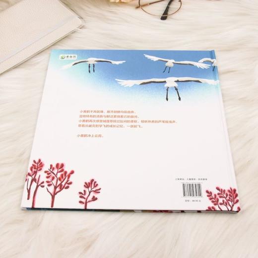 飞吧，小黄鹤 &3480  红滩绿苇间的飞行梦！小黄鹤的辽河口丹顶鹤救助成长 + 自然保护科普绘本 商品图3