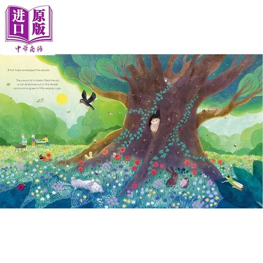 【中商原版】大橡树 The Great Oak Tree 英文原版 儿童绘本 图画故事书 自然四季百科知识 植物树木 进口童书 精装 3岁以上 商品图1