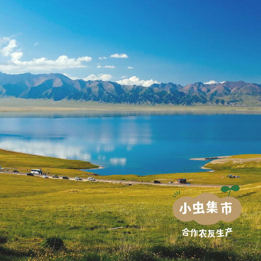 新疆有机番茄丁 300g*6罐 | 合作农友生产，产自新疆焉耆，生产者：王忠军 *【公平贸易农人定价】 商品图12