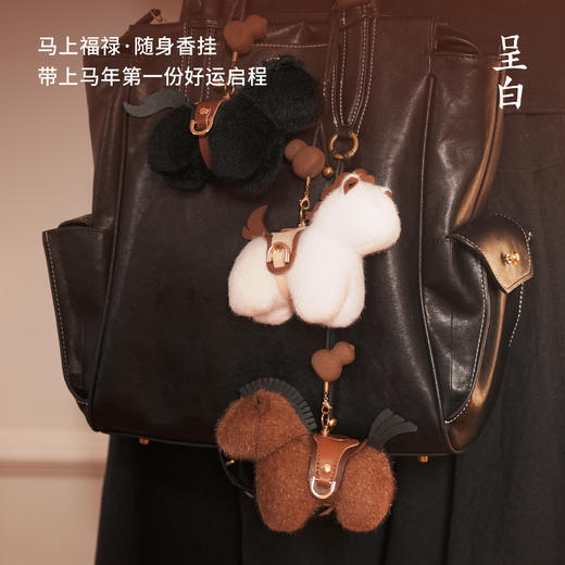 呈白	福禄献宝系列·马上福禄·随身香挂礼盒 商品图4