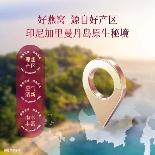 【发出后不支持拦截退货】燕太太 臻燕呈祥燕盏礼盒 30g 商品图3