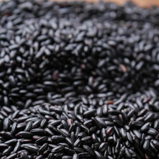 东北五常黑香米 商品图2