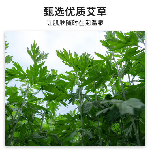 美容院按摩精油滴管高端盒装精油全身通经络足疗按摩店专用批发 商品图3